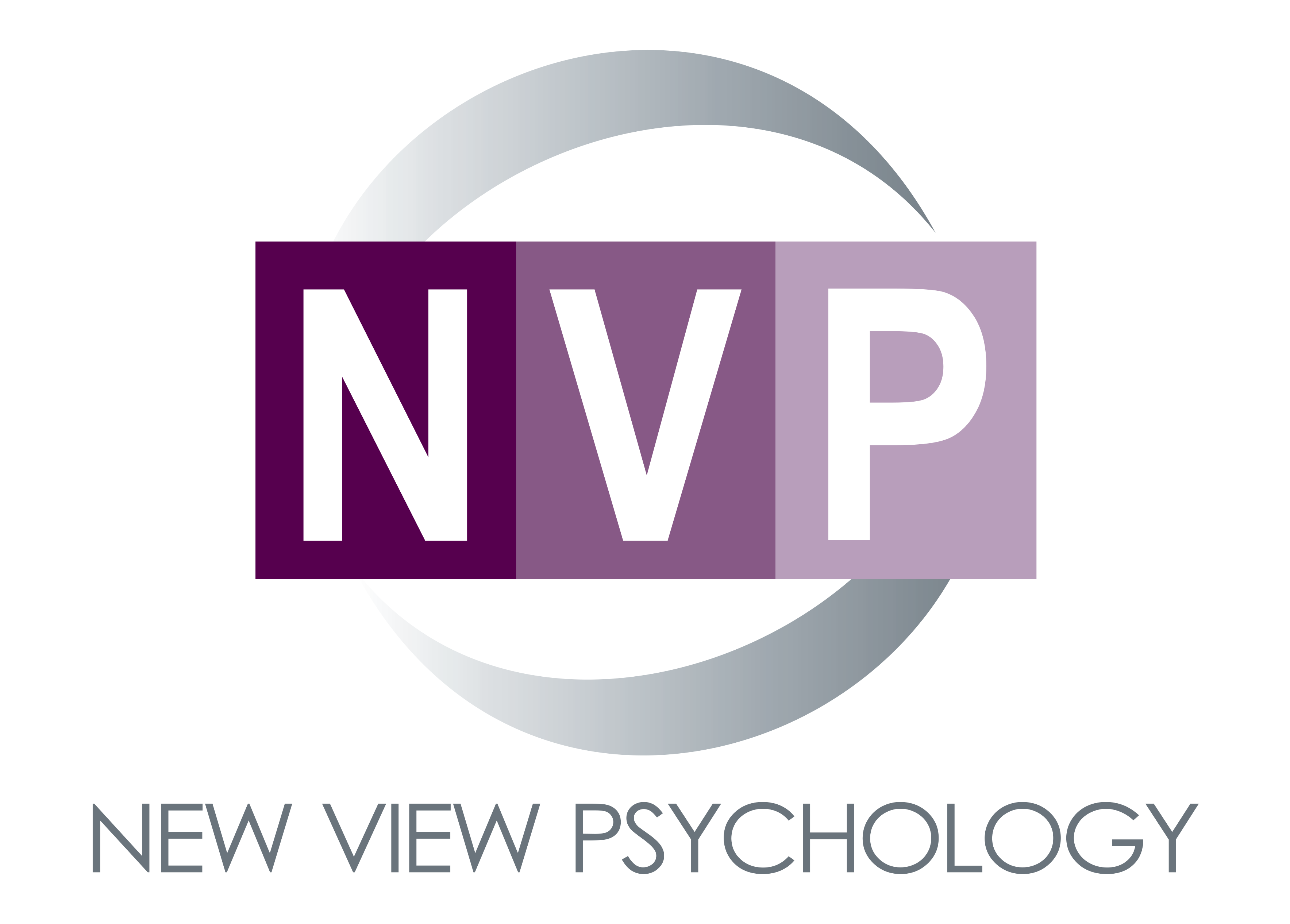 ./companies/NVP.png